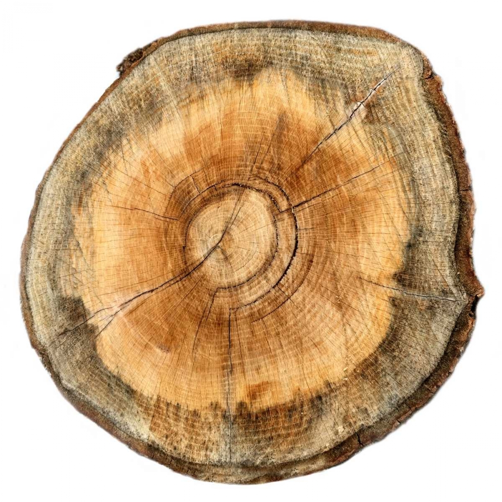 Similar wall art painting: 139550