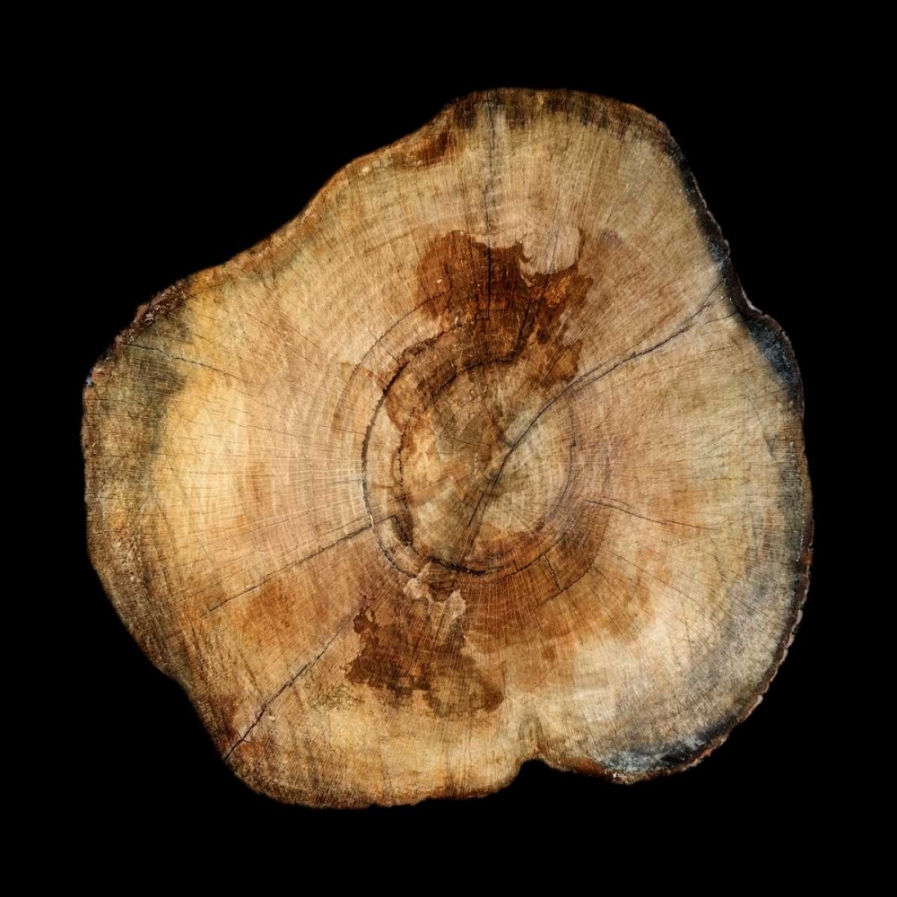 Similar wall art painting: 139553