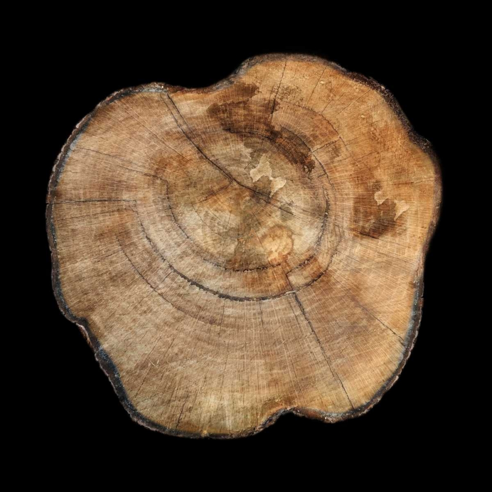 Similar wall art painting: 139554