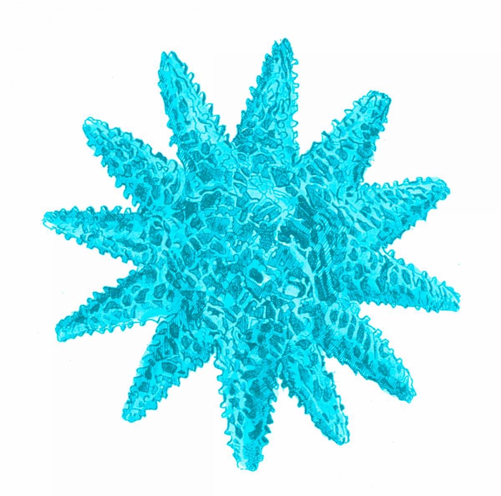 Similar wall art painting: 106979