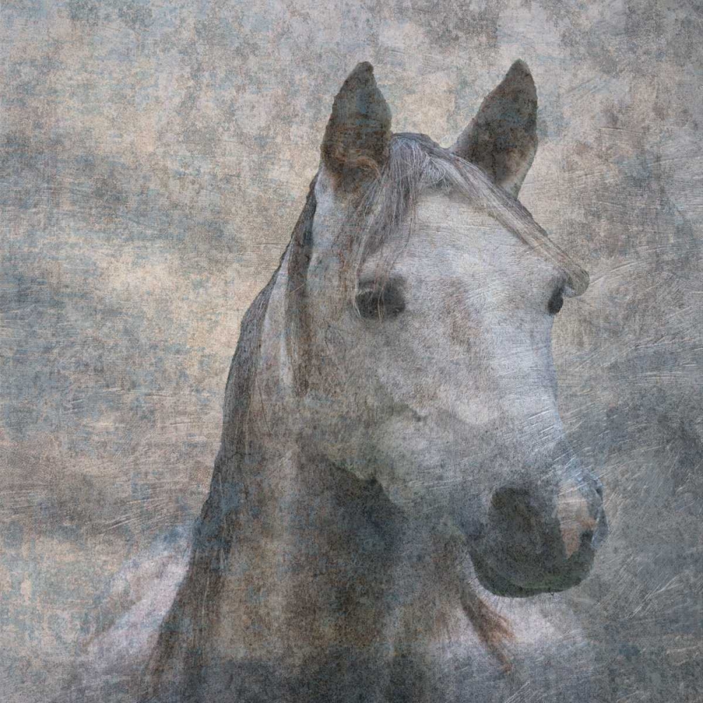 Similar wall art painting: 126026