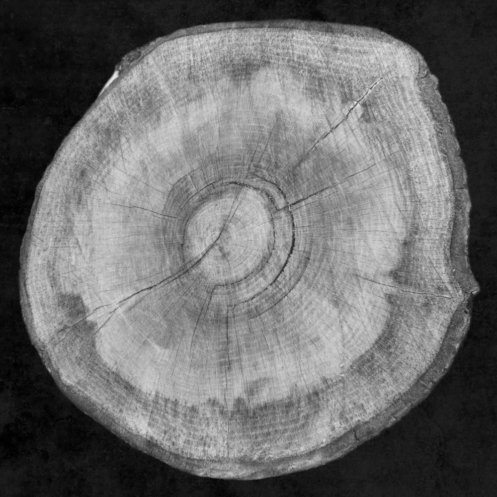 Similar wall art painting: 162474