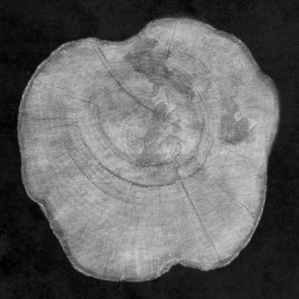 Similar wall art painting: 162475