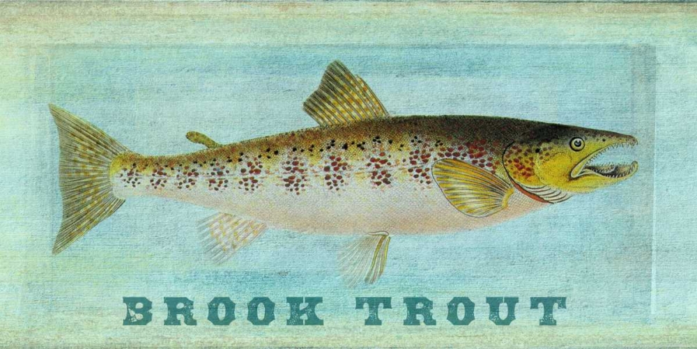 Wall Art Painting id:139561, Name: Brook Trout, Artist: Carlson, Tina