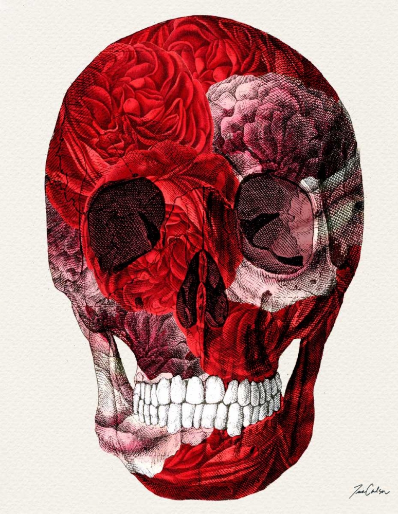 Wall Art Painting id:139572, Name: Skull With Roses, Artist: Carlson, Tina