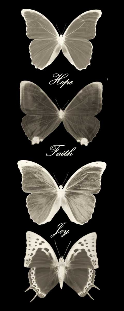 Similar wall art painting: 39381