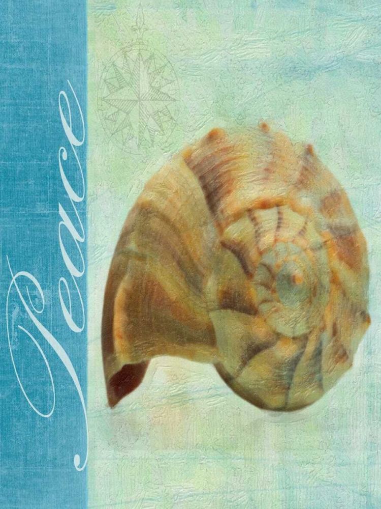 Wall Art Painting id:40079, Name: PEACE SHELL, Artist: Greene, Taylor