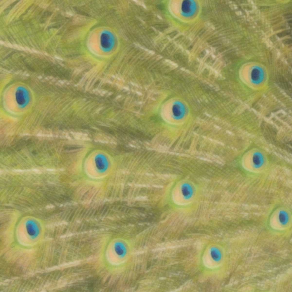 Similar wall art painting: 40258