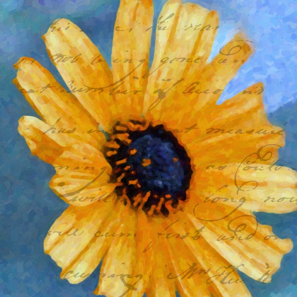 Wall Art Painting id:40333, Name: SCRIPTED WILD SUNFLOWER I, Artist: Greene, Taylor