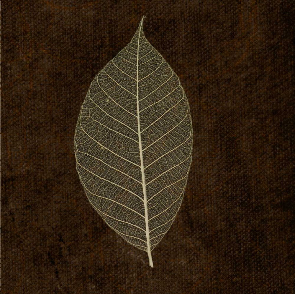 Similar wall art painting: 40337