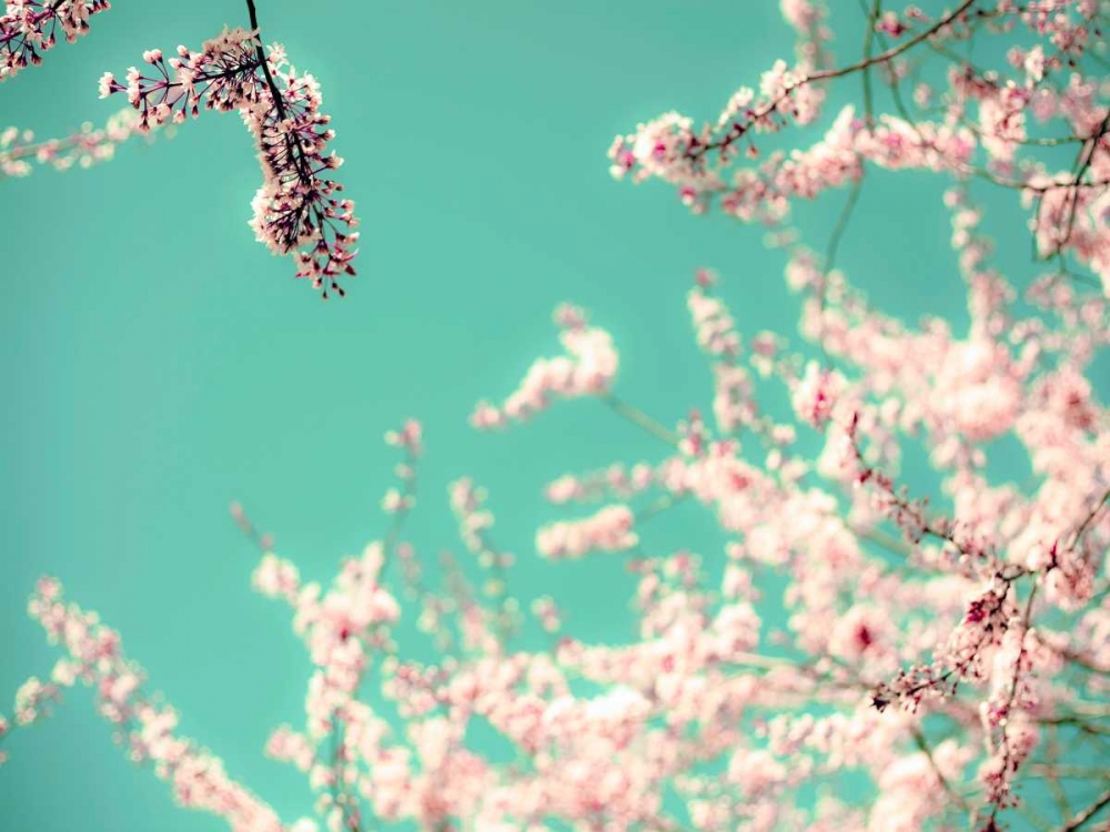 Similar wall art painting: 106993