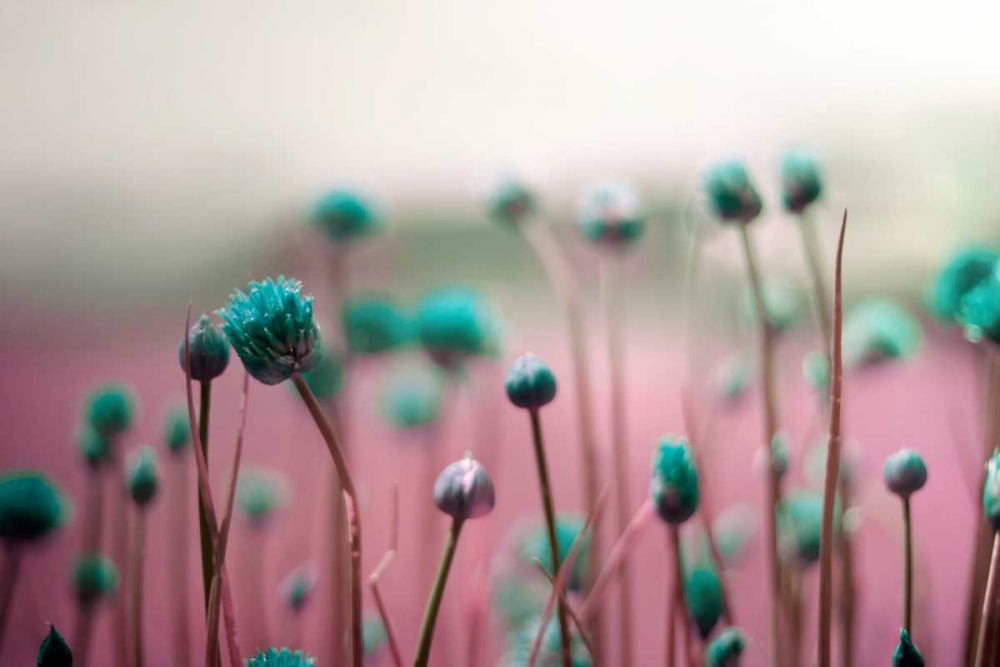 Similar wall art painting: 106998