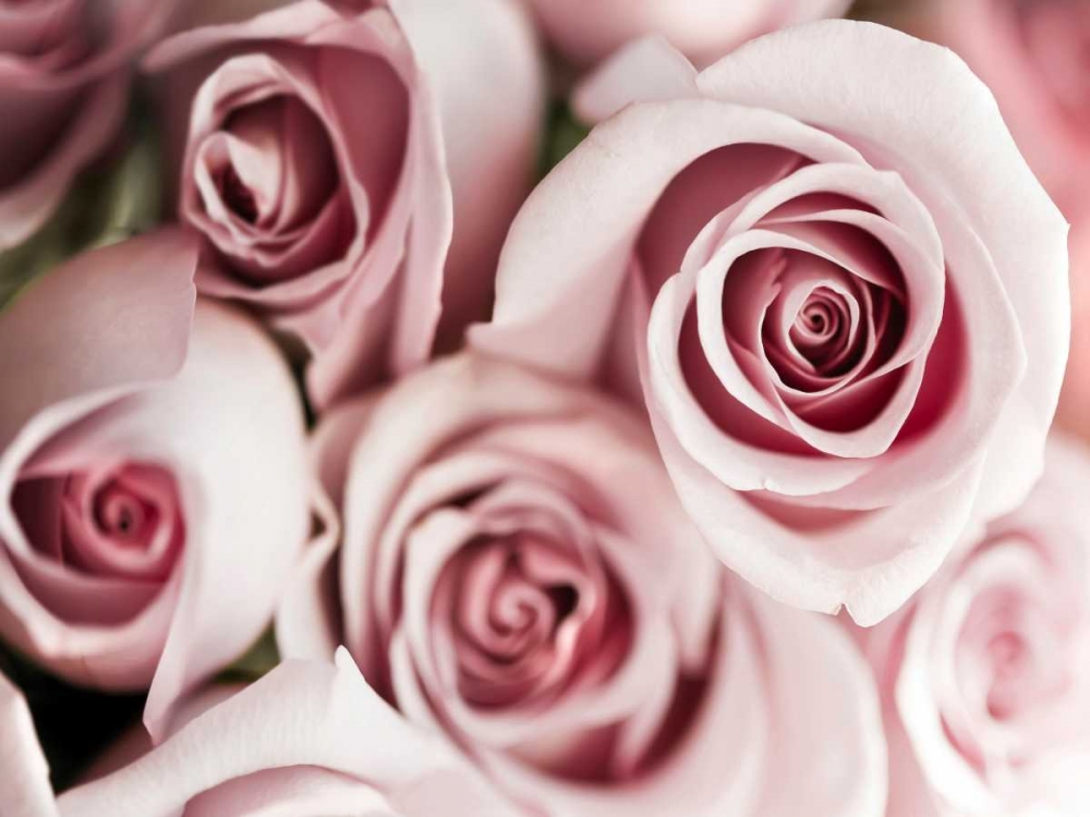 Similar wall art painting: 107022