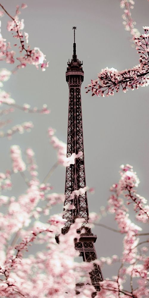 Wall Art Painting id:257590, Name: Spring Eiffel Pastel, Artist: Telik, Tracey