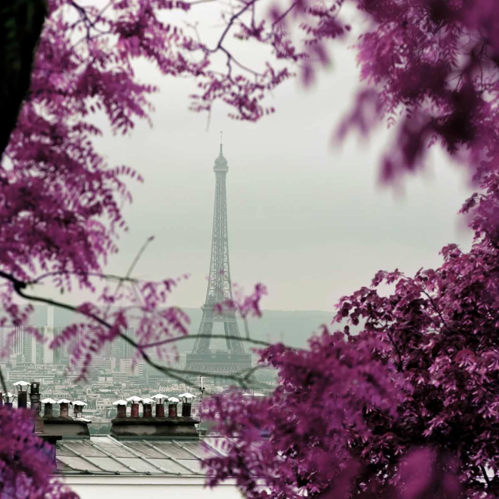 Wall Art Painting id:107050, Name: Through The Paris Foliage 1, Artist: Telik, Tracey