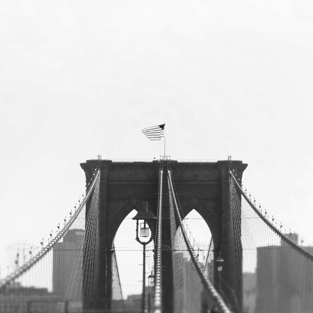 Wall Art Painting id:138763, Name: Brooklyn Bridge bw, Artist: Telik, Tracey