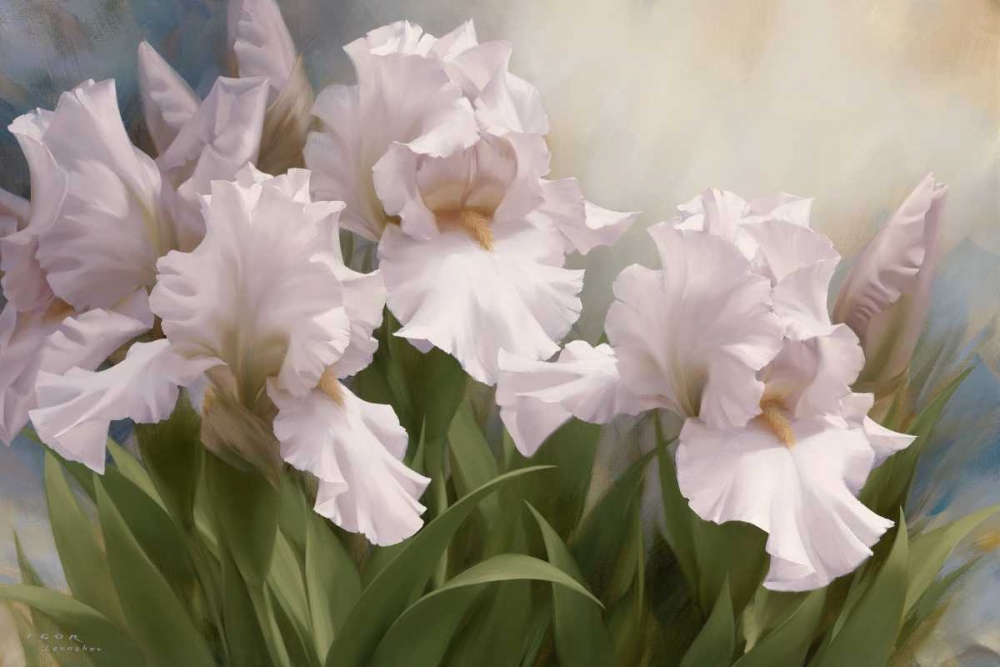 Wall Art Painting id:10105, Name: White Iris Elegance I, Artist: Levashov, Igor