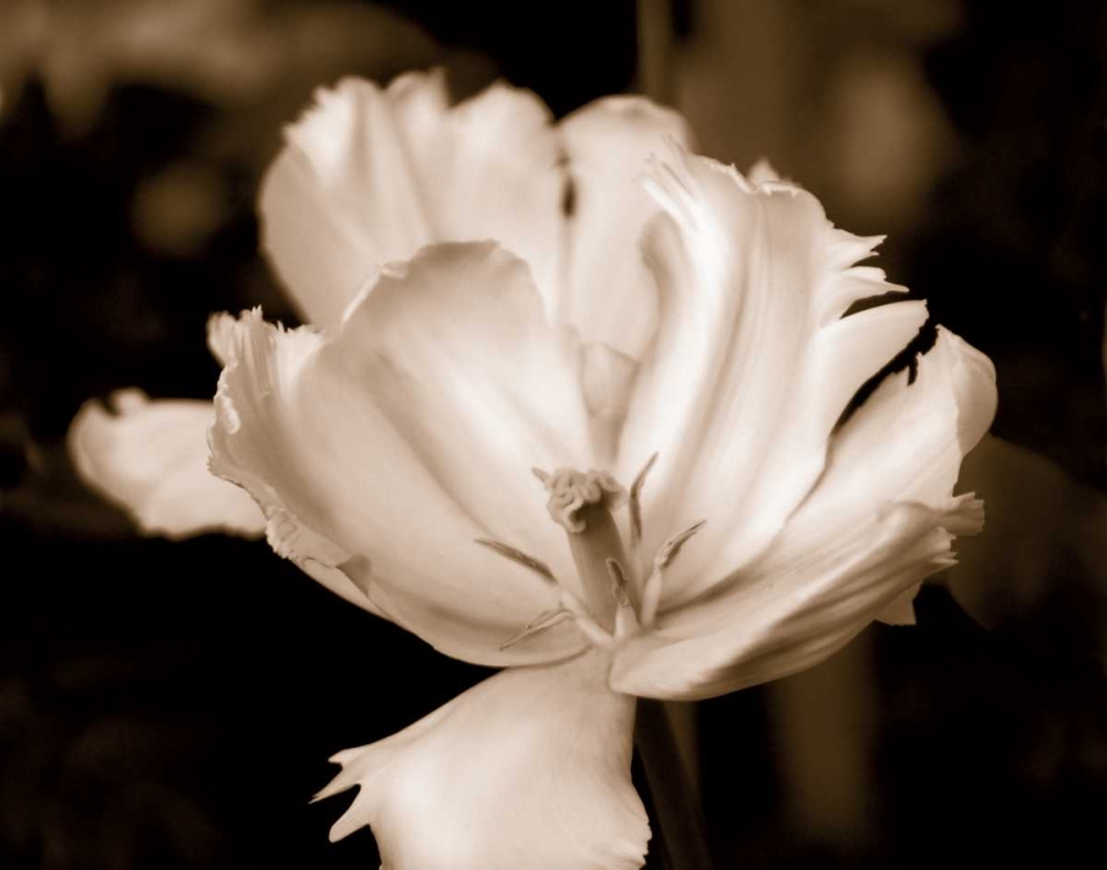 Similar wall art painting: 21433