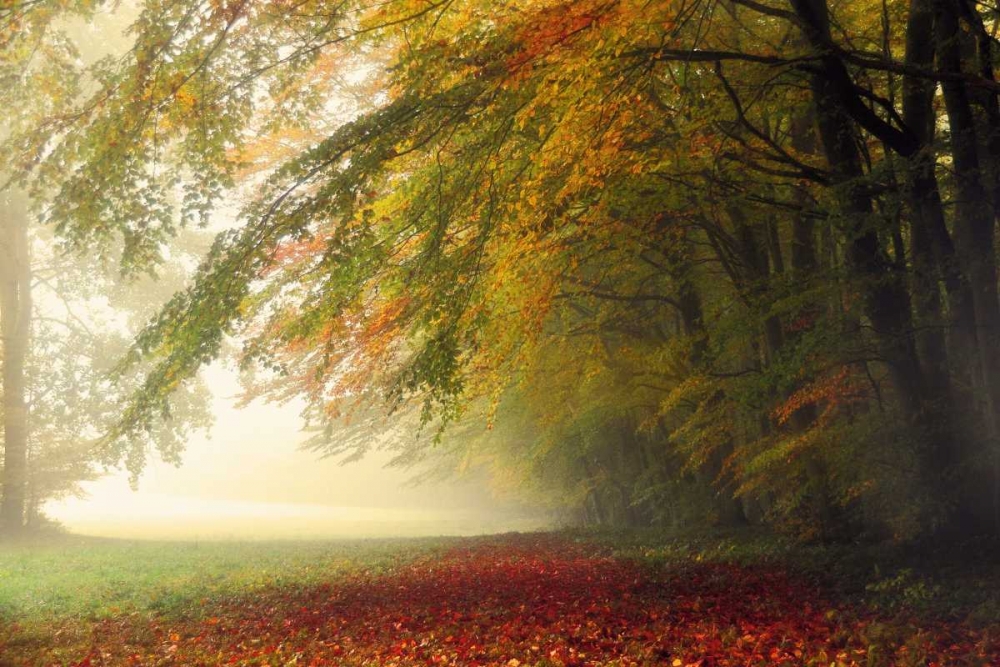 Similar wall art painting: 21445