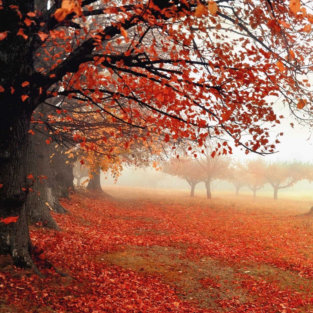 Similar wall art painting: 21446