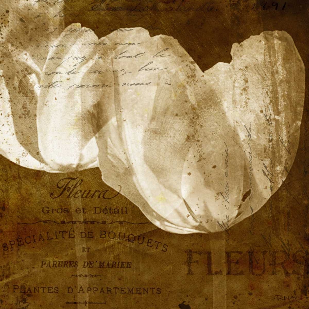 Similar wall art painting: 21515