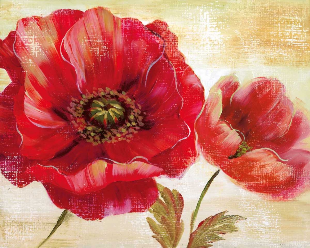 Wall Art Painting id:21642, Name: Passion For Poppies I, Artist: Nan