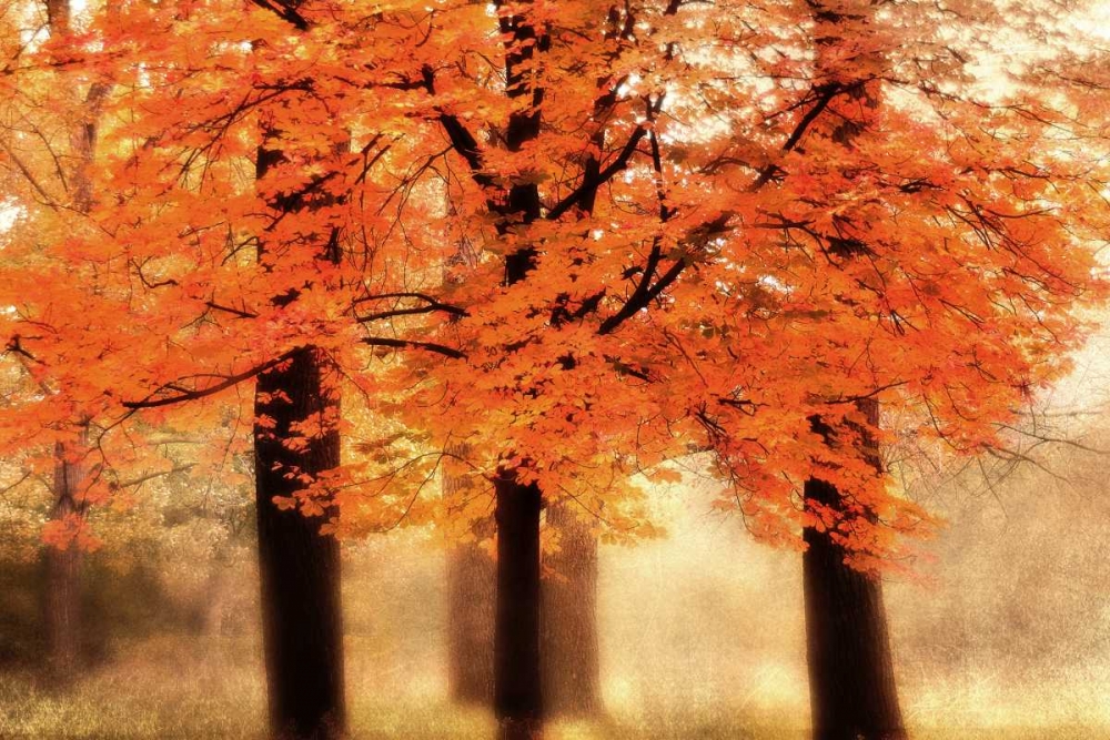 Similar wall art painting: 35917