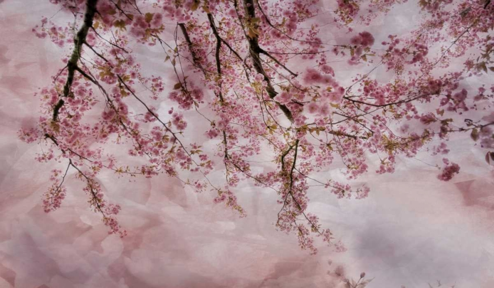 Similar wall art painting: 34275