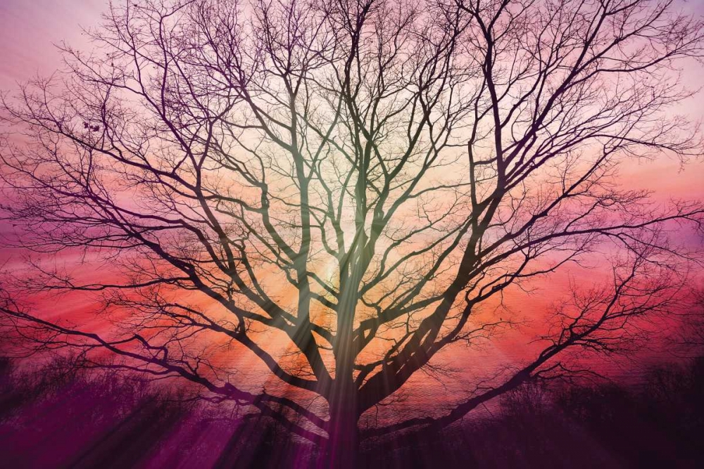 Similar wall art painting: 55450