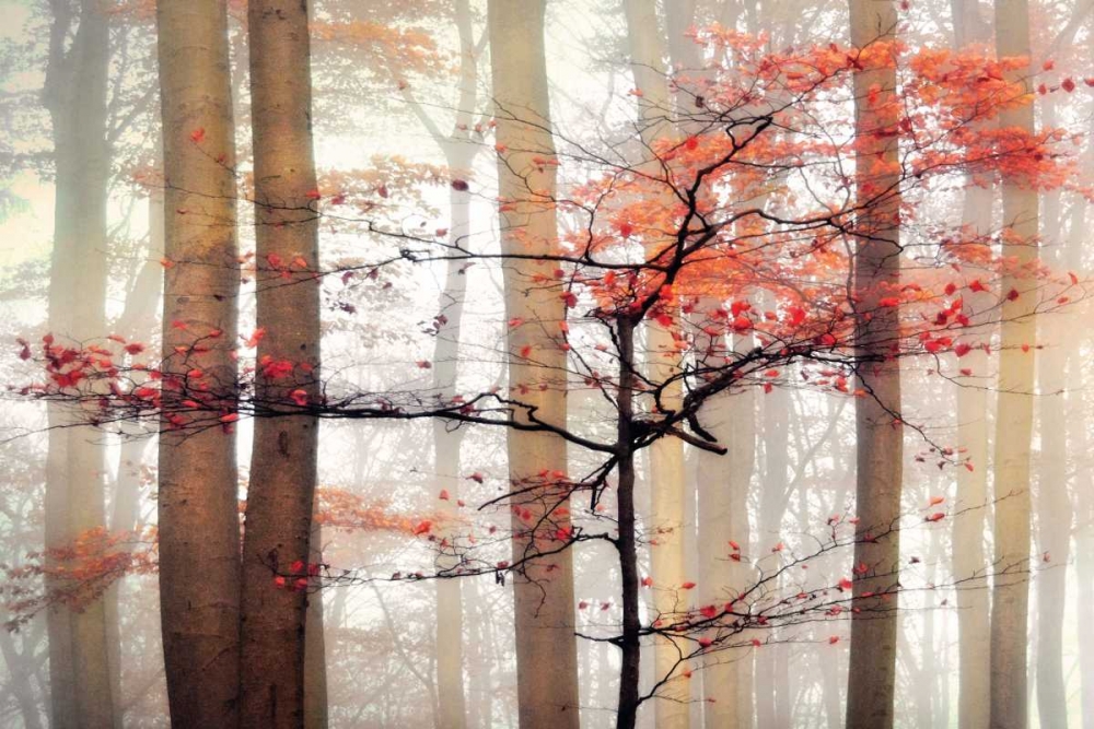 Similar wall art painting: 55454