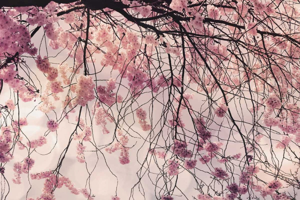 Similar wall art painting: 55455