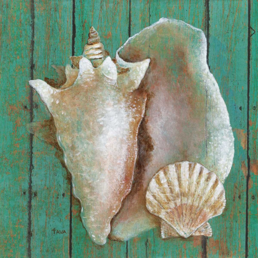 Wall Art Painting id:162698, Name: Conch, Artist: Tava, Janet