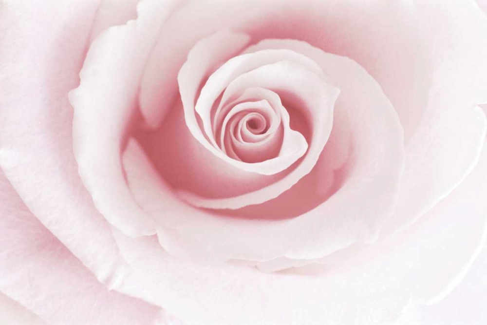 Similar wall art painting: 95438