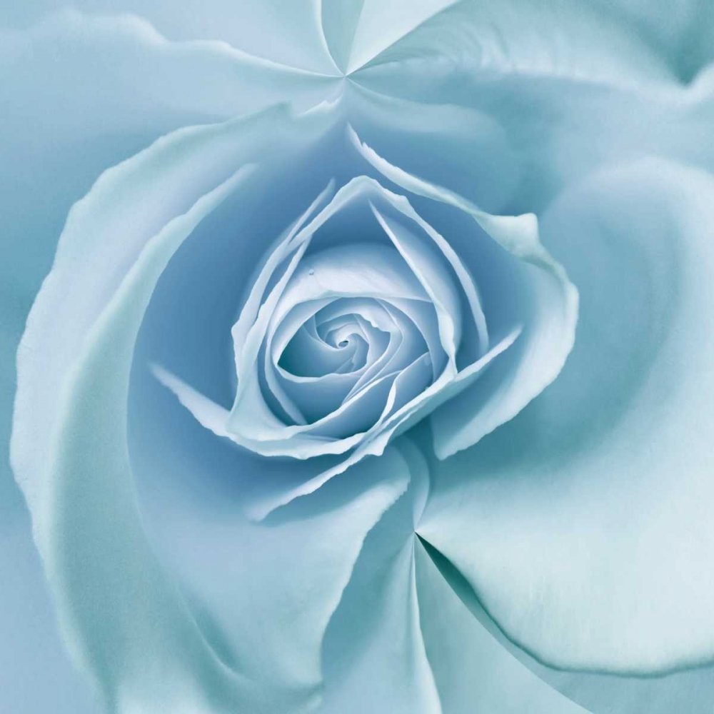 Similar wall art painting: 95443