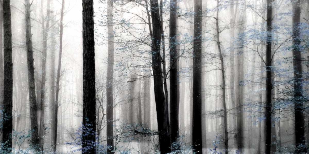 Similar wall art painting: 95468