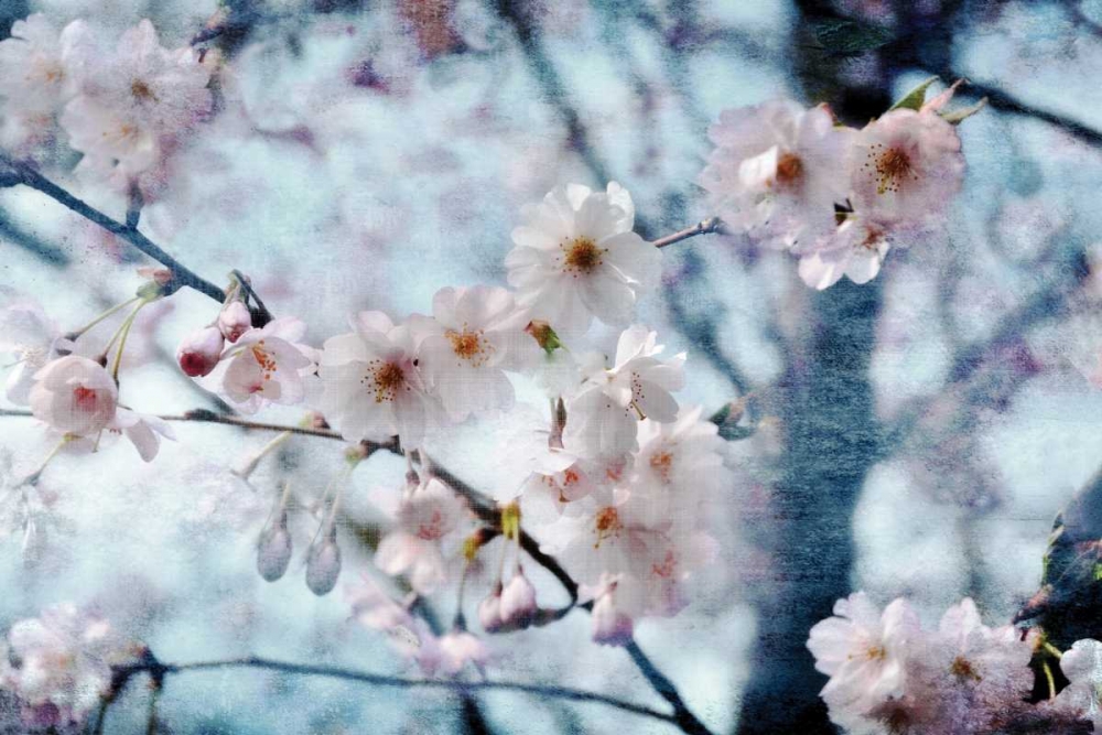 Similar wall art painting: 95656