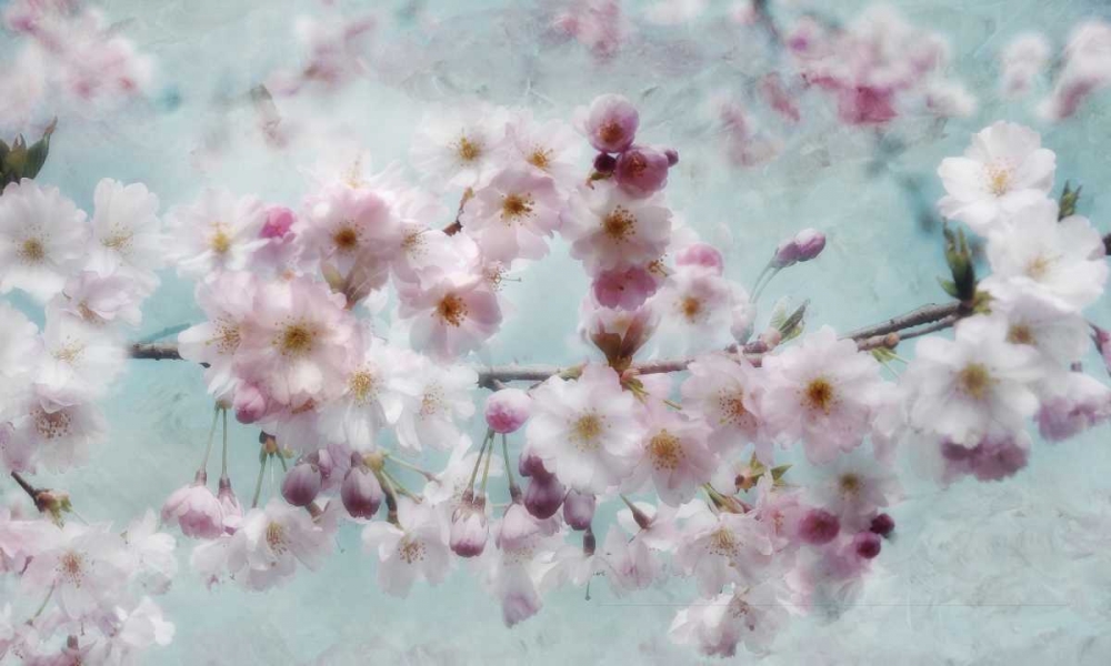 Art Print: Scent of Spring