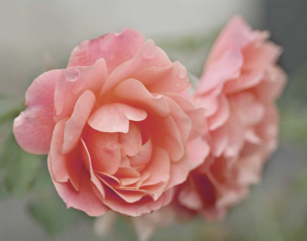 Similar wall art painting: 101922