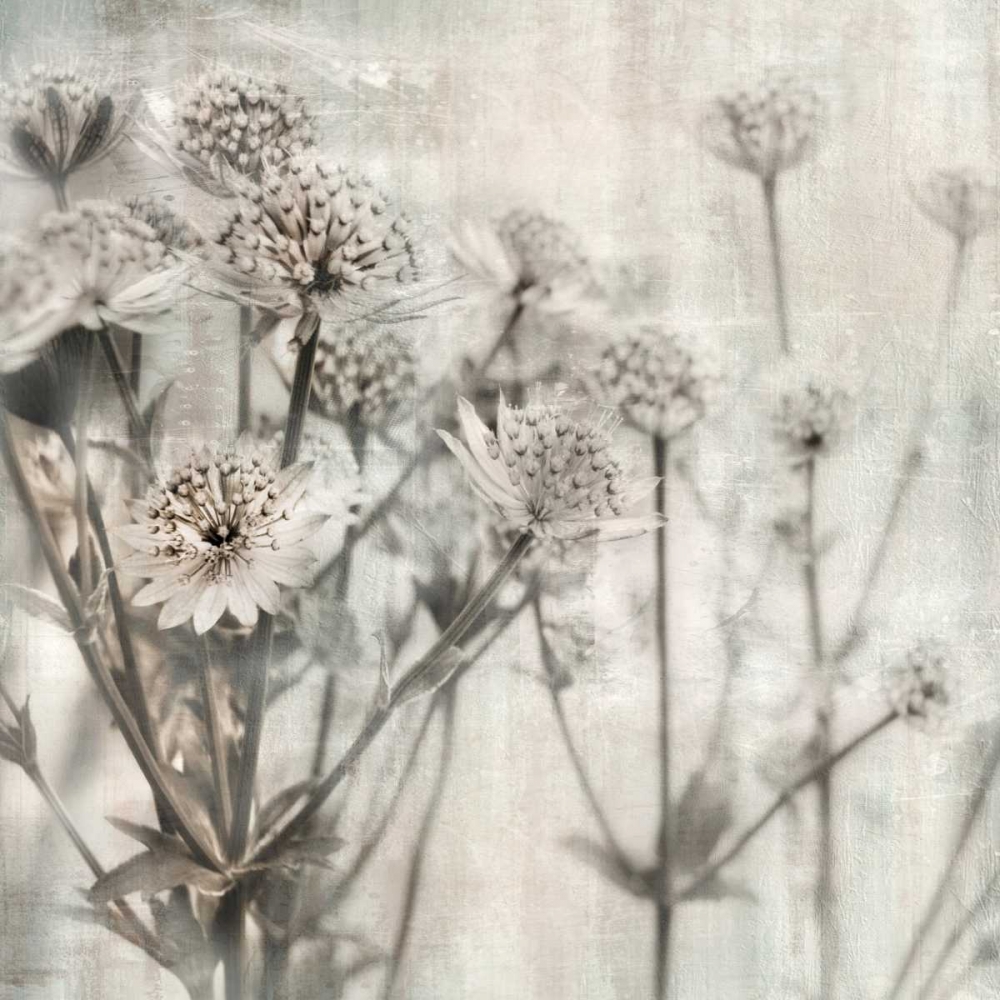 Art Print: Natural Ones I