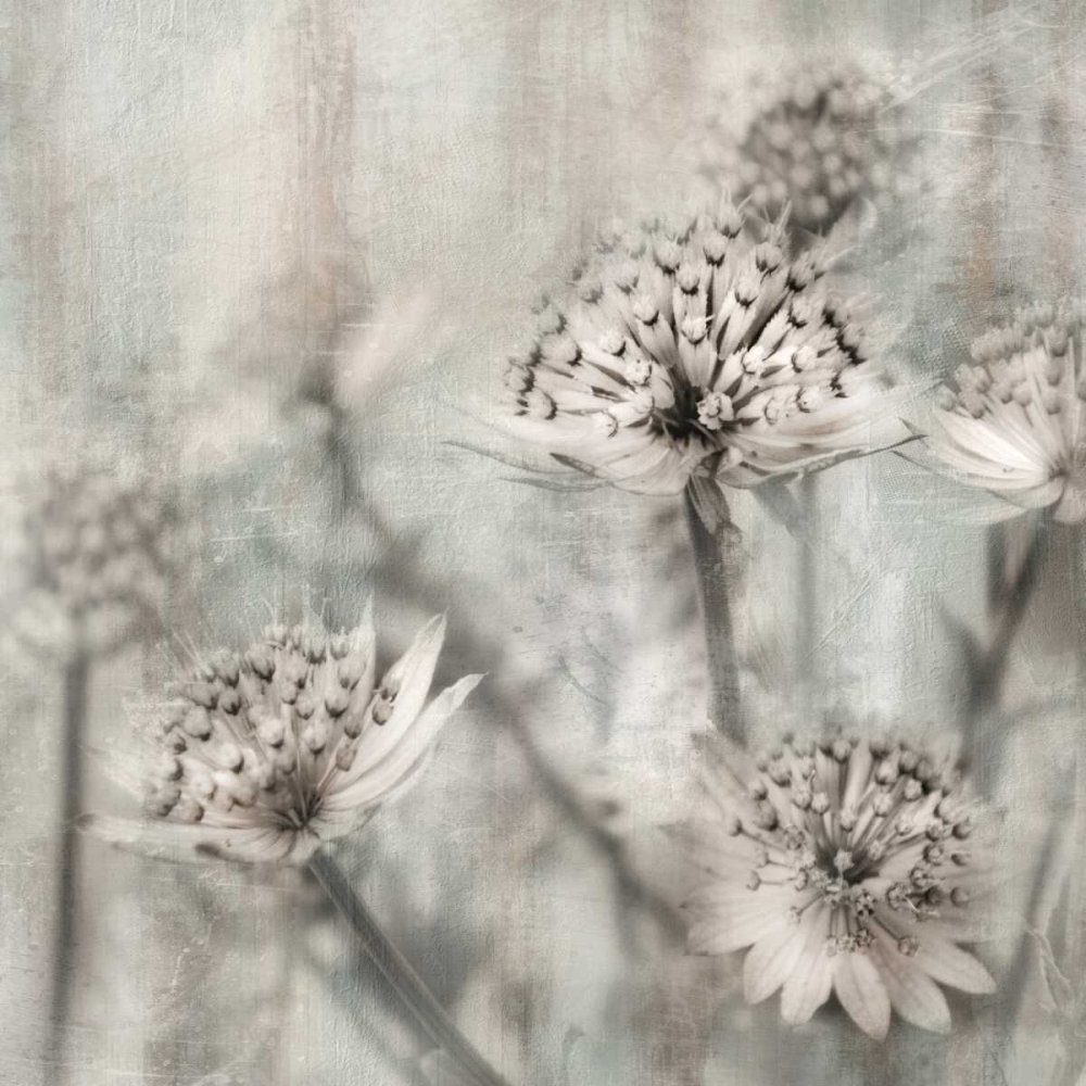 Similar wall art painting: 124281