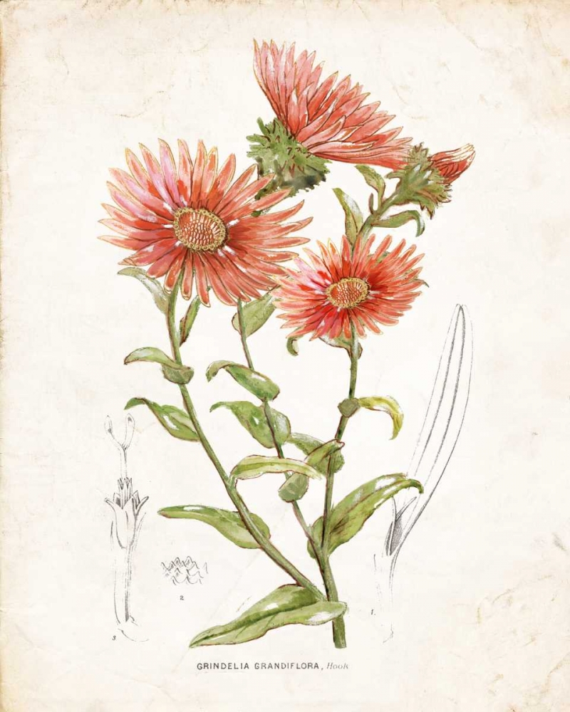 Similar wall art painting: 124485