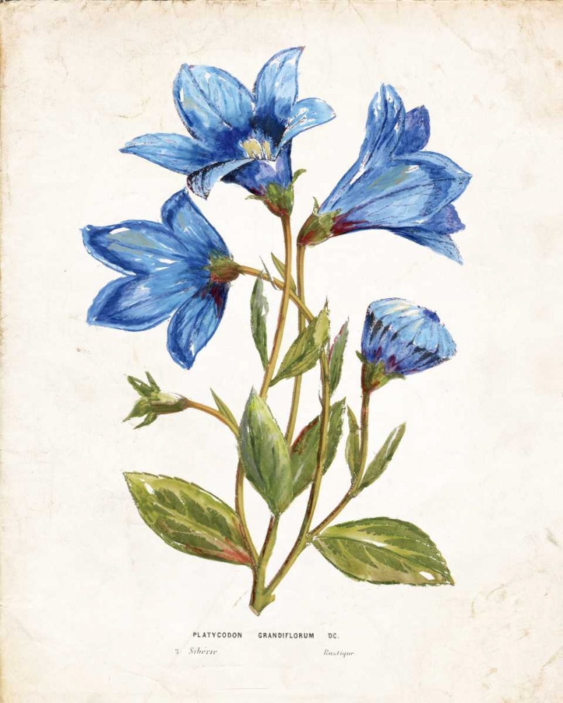 Similar wall art painting: 124486