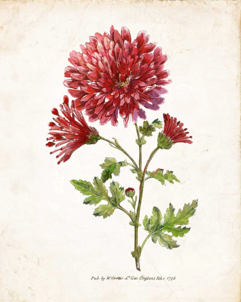 Similar wall art painting: 124487