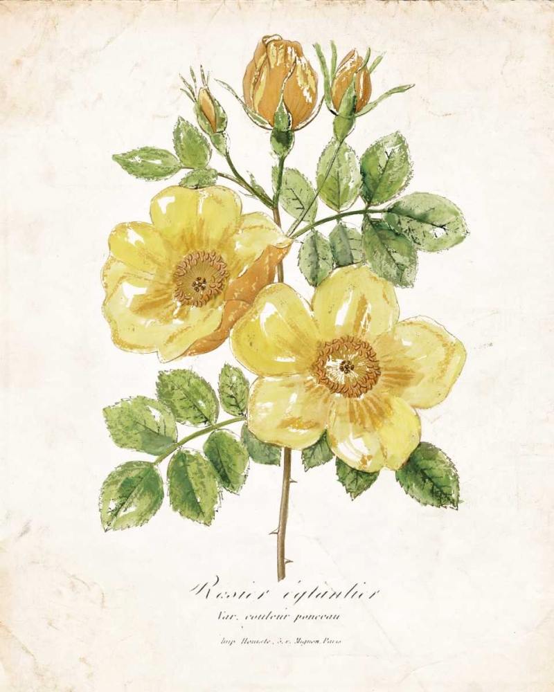 Similar wall art painting: 124488