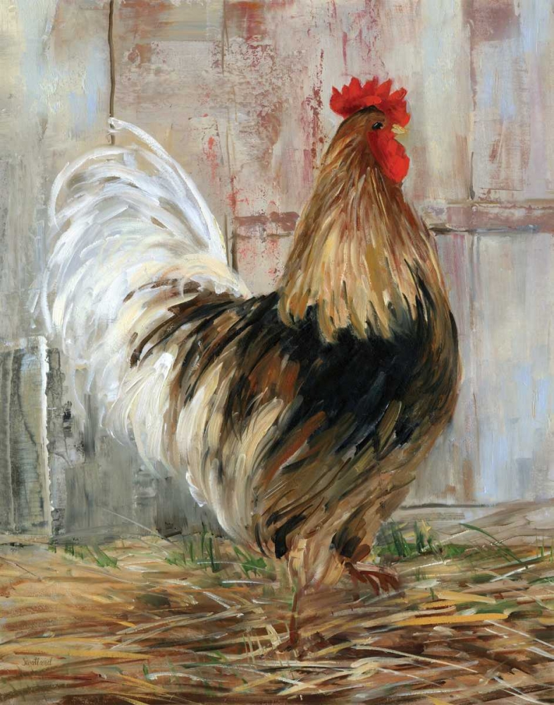Wall Art Painting id:124540, Name: Farmhouse Rooster, Artist: Swatland, Sally