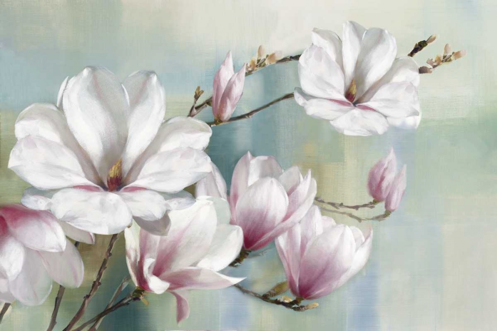 Wall Art Painting id:151236, Name: Magnolia Blooms, Artist: Daniels, Rogier
