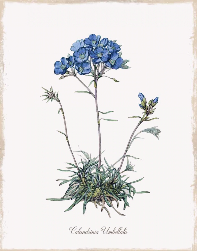 Similar wall art painting: 164433