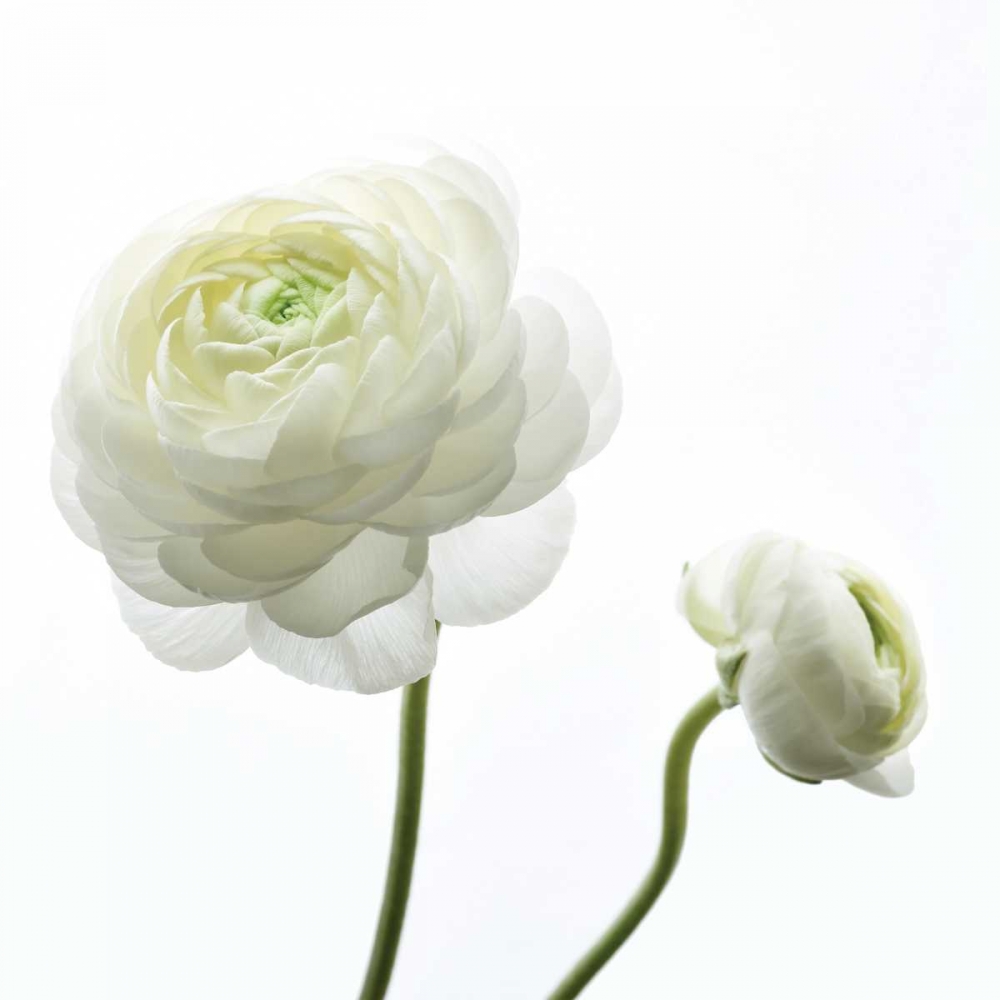 Similar wall art painting: 151241