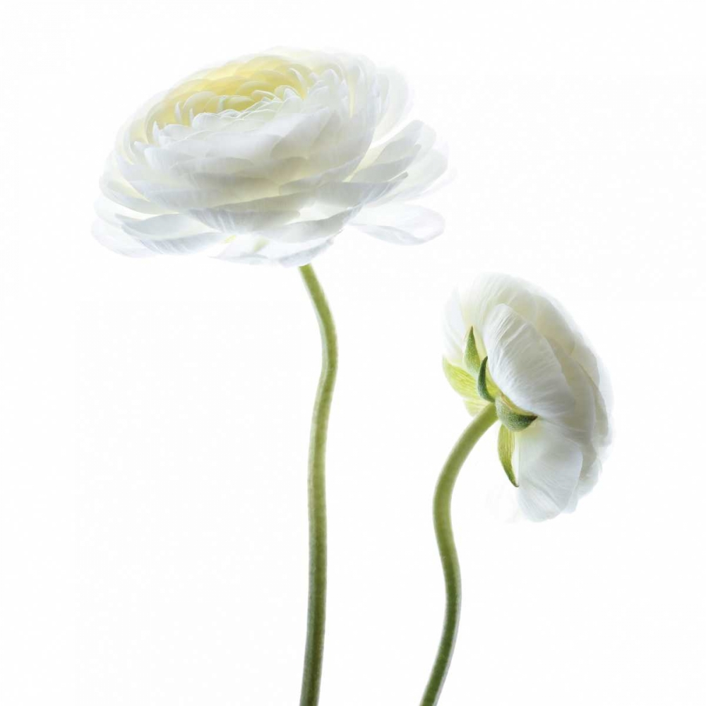 Similar wall art painting: 151242