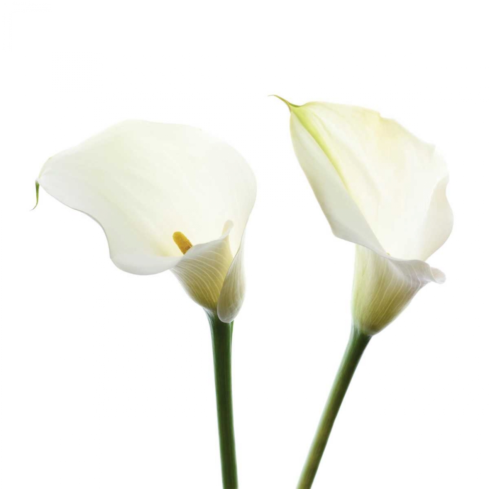 Similar wall art painting: 157540